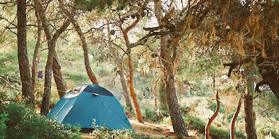 US States Ranked for Best Camping