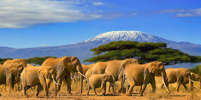 Tanzania Trip Insurance Coverage