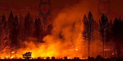 How Travel Insurance Applies to Wildfires