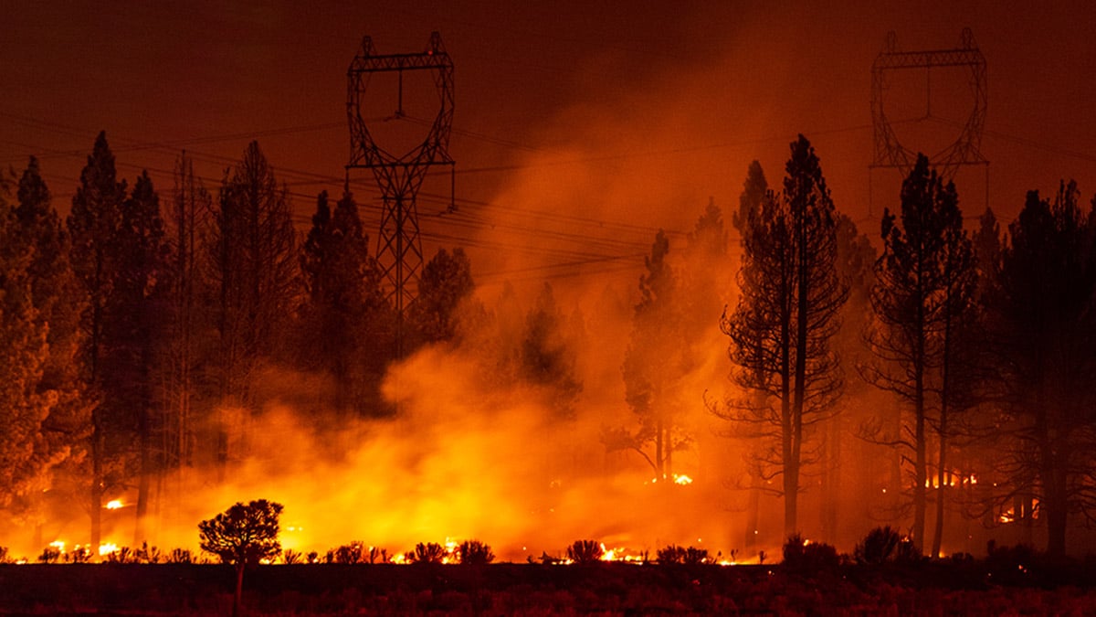 Wildfire Travel Insurance